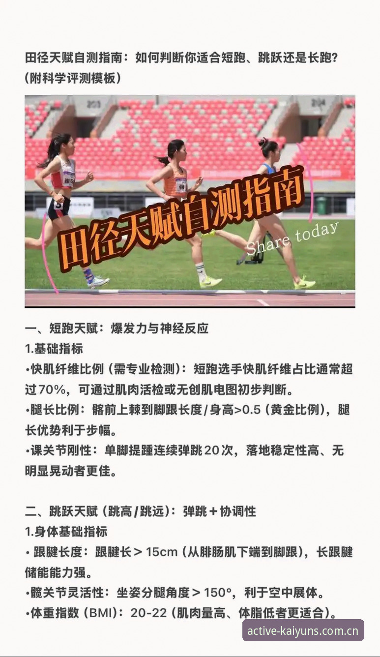 凯运体育平台选择实用指南：如何判断哪个版本更适合你